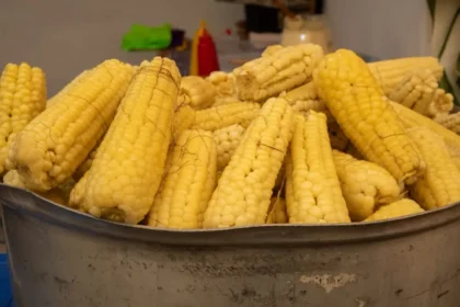 Últimos días para degustar elote, tortilla y sabores de pueblo: visita la Feria que convierte a Tláhuac en un paraíso del maíz
