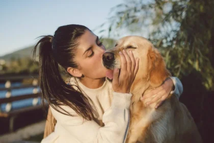 Los perros sí entienden nuestras emociones: su cerebro distingue alegría, miedo, ira y tristeza