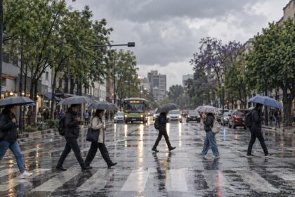 Lluvias previstas para este viernes en CDMX: qué dice el pronóstico