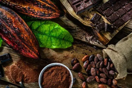 Chocolate, aromas y catas: el Museo del Perfume tendrá un festival dedicado al cacao en el Centro Histórico